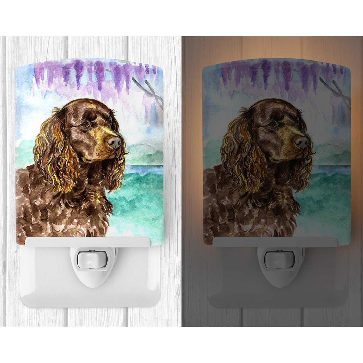 Caroline's Treasures 7008CNL Water Spaniel Ceramic Night Light, 6x4x3", multicolor