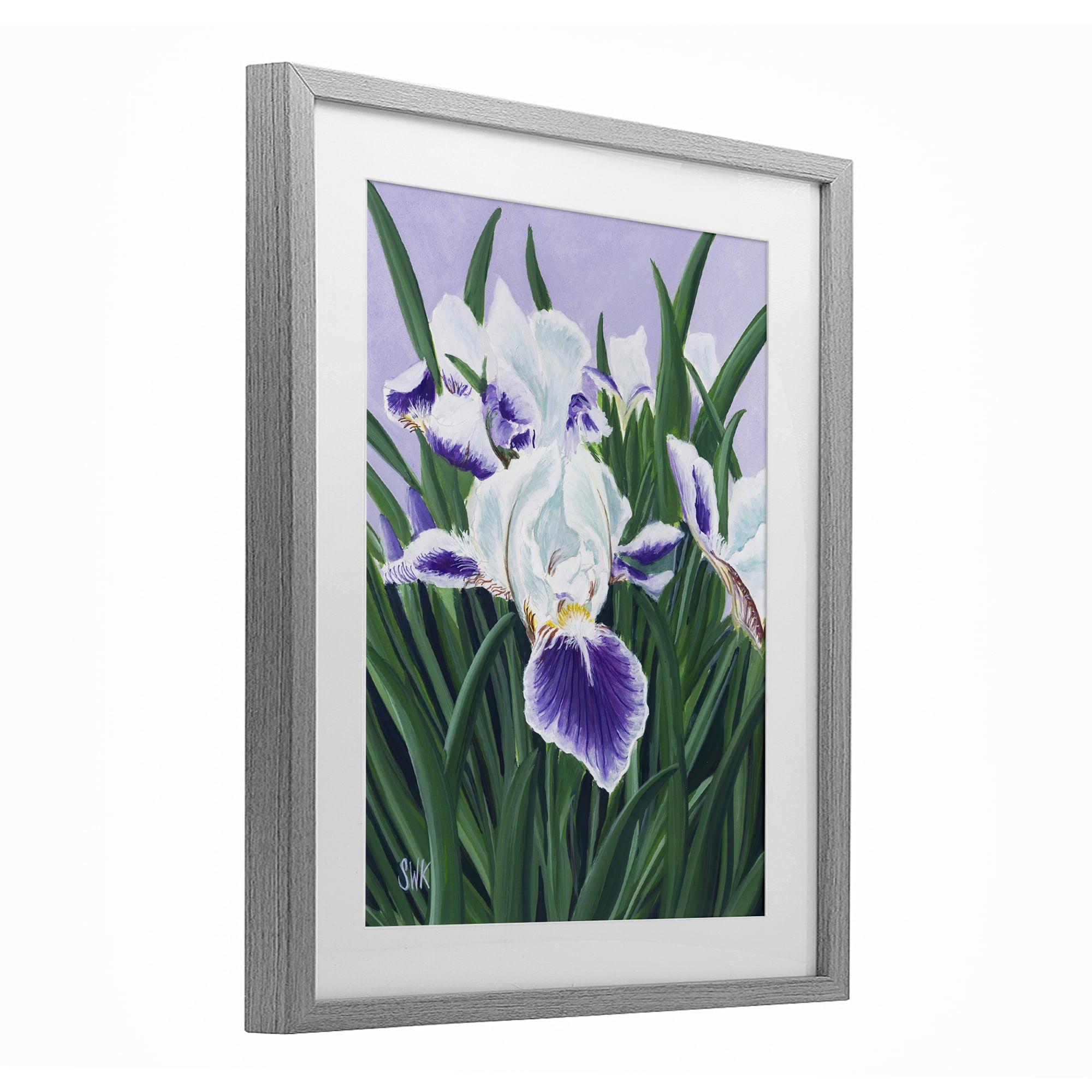 Stupell Industries Purple & White Irises Gray Framed Print Under Glass, design by Sarah Waldron Kimball