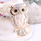 thumbnail image 3 of Big Owl Brooches For Wedding Bouquet Vintage Wedding Hijab Scarf Pin Up Buckle Femininos Brooches Couple Collar Jewelry Pins, 3 of 4