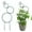 Green, variant on ZMKIAG Circular Metal Trellis for Climbing Plants, Indoor/Outdoor Small Garden Trellis for Potted Plants, Plant Climber Support, for Potted Plants, Houseplants, and Decorations.