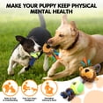 thumbnail image 6 of PcEoTllar Monkey Dog Toy, Squeaky Puppy Toys, Dog Rope Toys, Plush Puppy Chew Toys for Teething, 6 of 8
