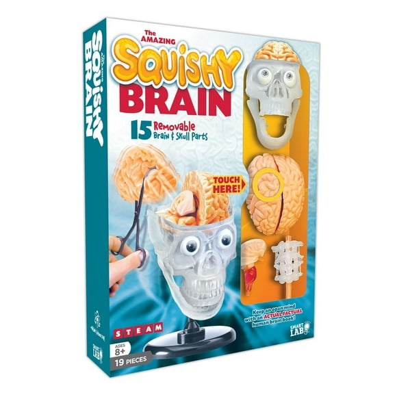 Smart Lab Cerveau spongieux incroyable