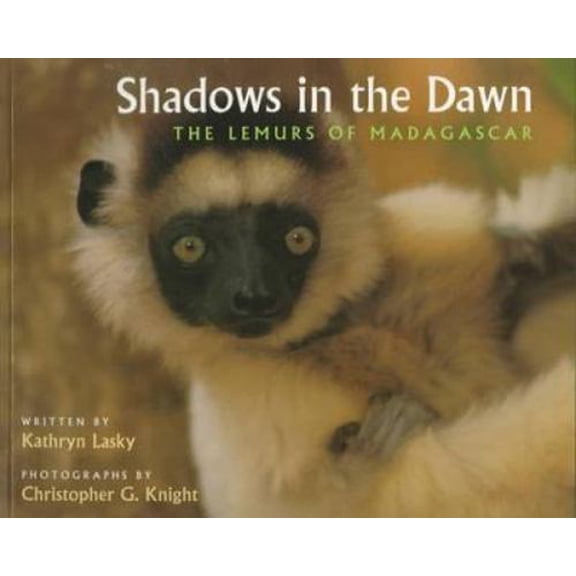 Pre-Owned Shadows in the Dawn: The Lemurs of Madagascar (Paperback) 0152002812 9780152002817