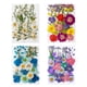 thumbnail image 1 of Wdftyju Paquete de material de flores secas Flores y hojas secas reales prensadas (blanco) Wdftyju 6zq8ke6ef1ml2rs3, 1 of 9