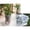 a, variant on Plastic Orchid Pots with Holes,Clear Orchid Pots for Repotting with Saucers Drainage and Plant Stakes, Large Small Breathable Orchids Planter Plant Pot