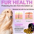 thumbnail image 5 of Oimmal Skin & Coat Supplement for Dog, 150 Omega 3 Treats with Salmon Oil & Vitamins, Healthy Skin & Coat, Dry & Itchy Skin Relief + Allergy Support - Chicken Flavor, 5 of 11
