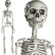 Prextex 30 inch Halloween Giant Skeleton - Full Body Halloween Skeleton With Movable Joints for Best Halloween Decoration