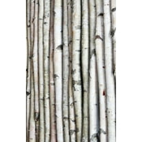 White Birch Pole 8ft x 1.5-2.5"