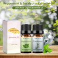 thumbnail image 2 of shiyou-Eucalyptus Peppermint Essential Oil Set, 100% Pure Aromatherapy Oils for Diffuser, Massage, Bath Bombs, Perfume, 2 of 4
