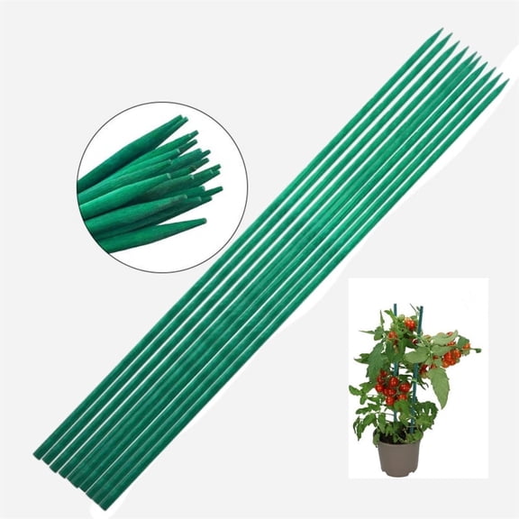 Green Bamboo Plant Stakes,Topboutique Floral Plant Stakes for Indoor and Outdoor Plants,Wood Flower Sticks for Garden Potted Plants,Sturdy Floral Plant Stakes,16 inch