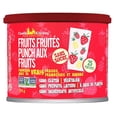 thumbnail image 2 of Castle Kitchen Sugar Free Fruity Fruit Punch Mix (6 oz) - Sweetened with Monkfruit - Vegan, Gluten Free, Plant Based - Keto & Diabetic Friendly - Just Add Water Powder Drink Mix, 2 of 3