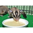 thumbnail image 5 of Sugar Glider HPW Diet Original 12 oz. Jar., 5 of 9