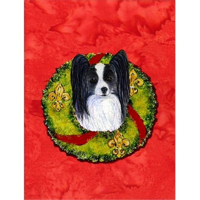 Carolines Treasures SS4192CHF 28 x 40 Po Drapeau Papillon Toile Maison Taille