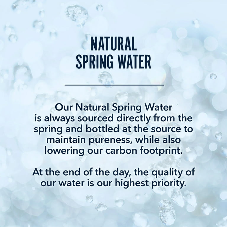Disney Princess Artisan Picnic Bottled Water - 100% Natural Spring Water | Bottled Water