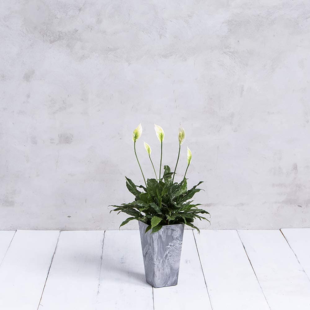 Root & Vessel Ella Tall Planter, Gray, 13.5"