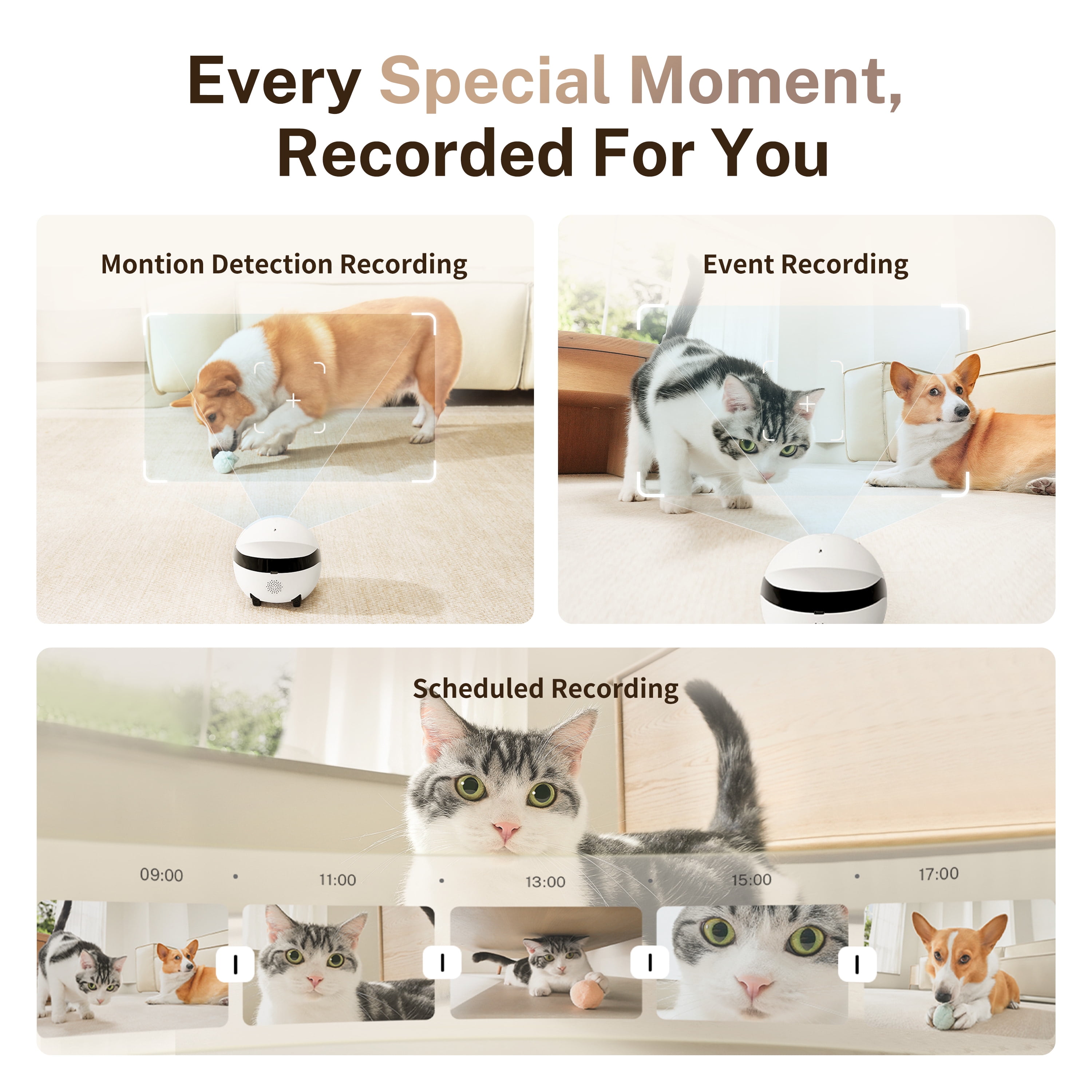 Enabot ROLA Mini 2K Pet Camera Robot: Movable Indoor Camera Battery-Powered with Phone App, One-Touch Call, 2-Way Talk, IR Night Vision, Motion Detection, Video Recording