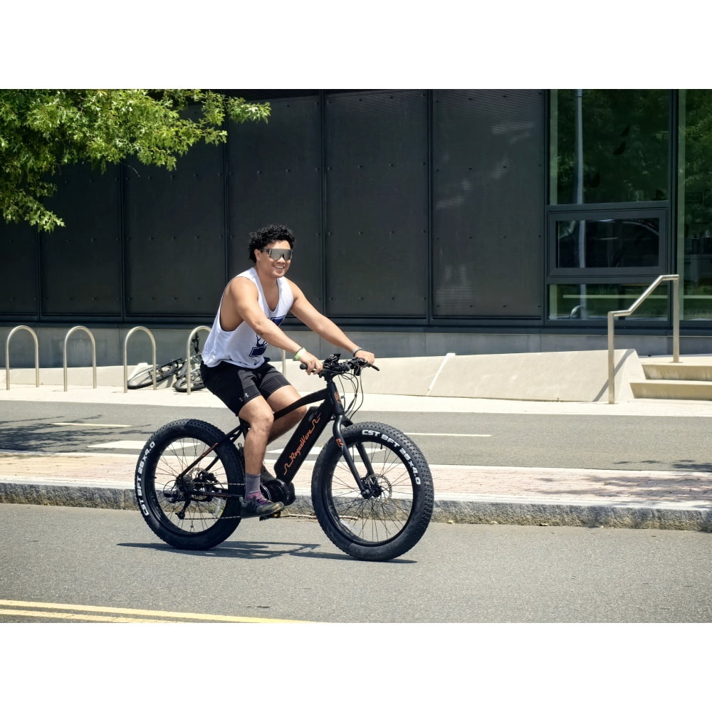 Rogue Wave Mountain Ebike 750W Electric Bike 4 Inch Fat Tire 20MPH 48V 14.5Ah Aluminum Frame Electric Mountain Bike for All Terrain Black
