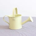 thumbnail image 6 of Garden Small Water Spraying Pot Flower Kettle Metal Watering Can Sprinkled Indoor Outdoor Bonsai Plants Gardening Shower, 6 of 9