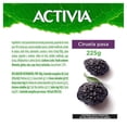 thumbnail image 2 of Alimento lácteo fermentado Activia frutas ciruela pasa 225 g, 2 of 4