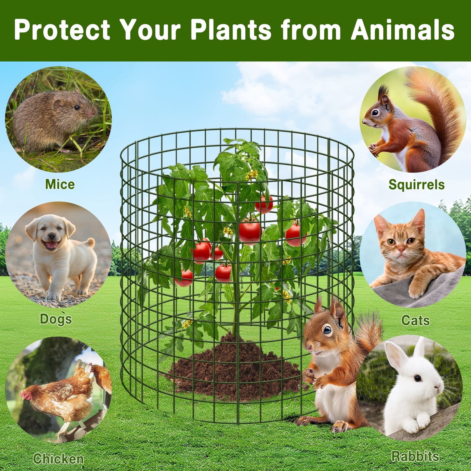 KORALAKIRI Plant Protector from Animals, Plant Cages for Outdoor Plants, Metal  Wire Mesh Garden Protection Animal Barrier to Keep Flower Vegetables from Rabbit Chicken