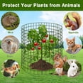thumbnail image 4 of KORALAKIRI Plant Protector from Animals, Plant Cages for Outdoor Plants, Metal  Wire Mesh Garden Protection Animal Barrier to Keep Flower Vegetables from Rabbit Chicken, 4 of 8