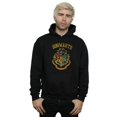 thumbnail image 2 of Harry Potter Mens Hogwarts Varsity Hoodie, 2 of 3