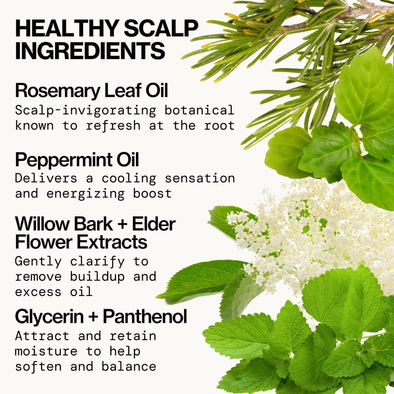 Pacifica Rosemary Mint Scalp Detox Shampoo, 12 fl oz photo 5