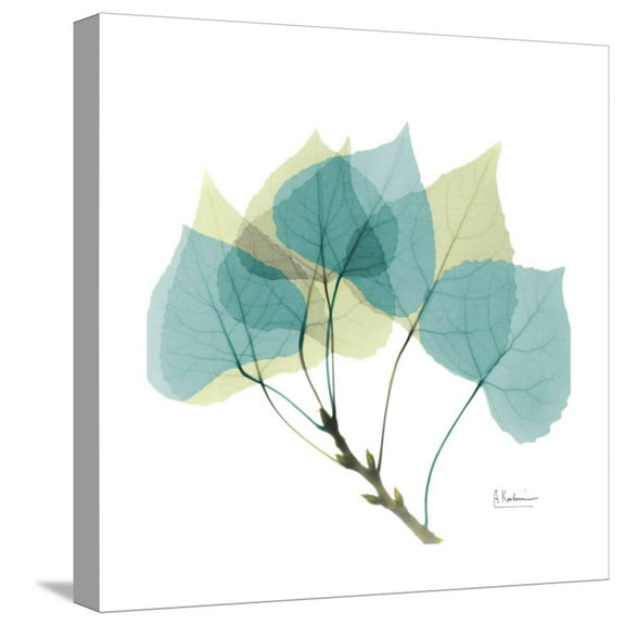 Art.com Aspen Stretched Canvas Print Wall Art by Albert Koetsier, 16" x 16"