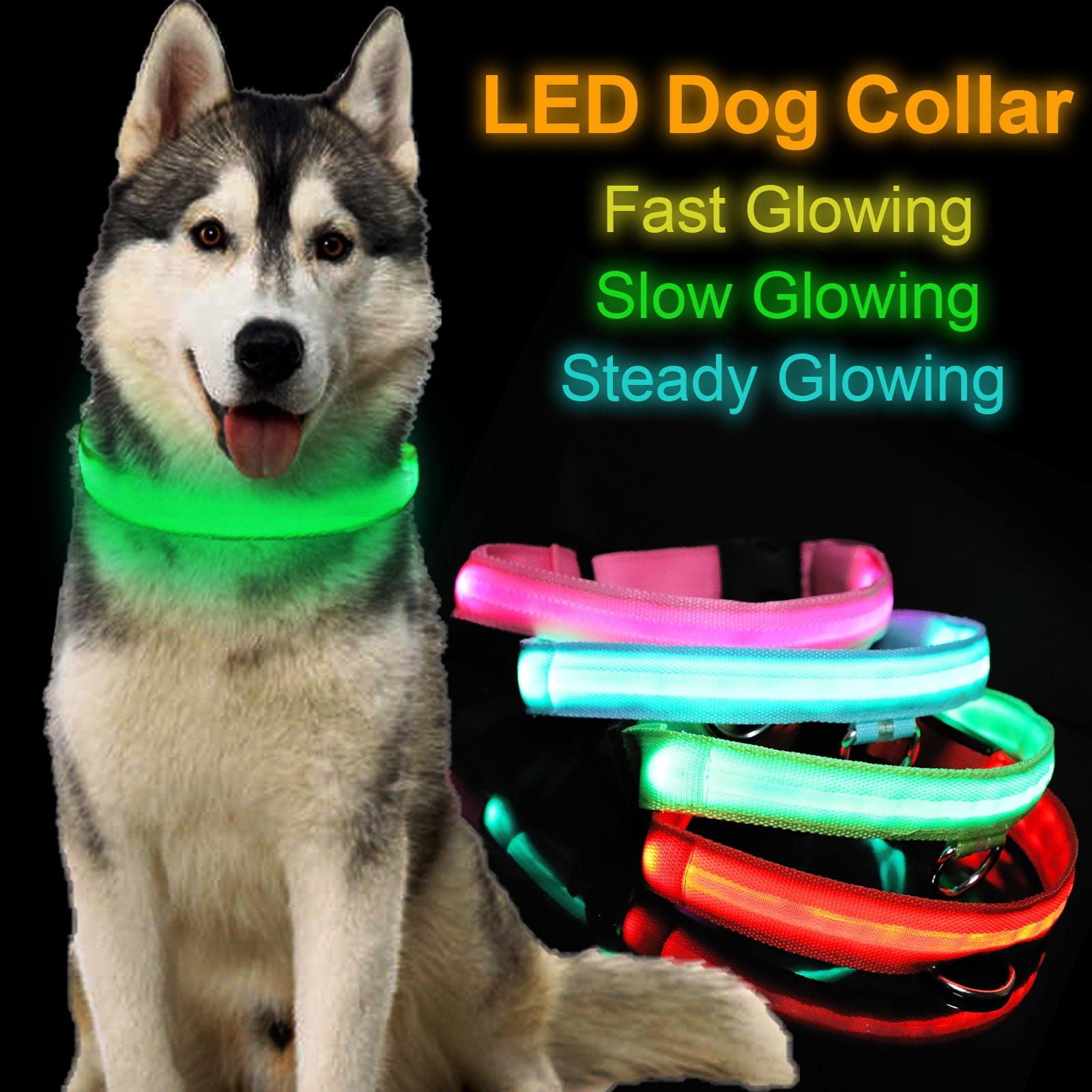 led dog collar