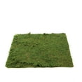thumbnail image 6 of BalsaCircle 18" x 16" Green Natural Preserved Moss Sheet Wedding Party Crafts Centerpieces Decorations, 6 of 8