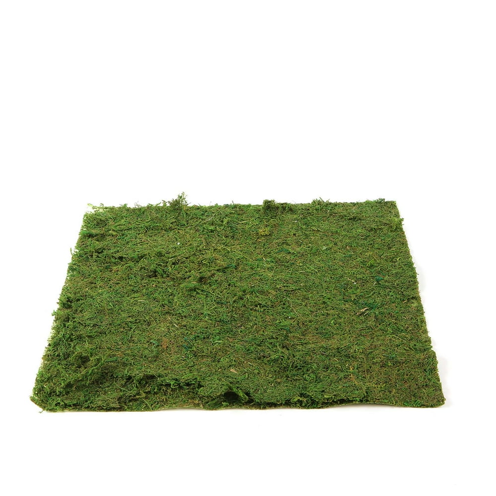 Efavormart 18" x 16" Preserved Natural Moss Roll Faux Green Living Wall
