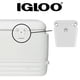 thumbnail image 4 of Iglú Cooler Latch con poste con alas y un solo tornillo, color blanco, 4 of 5