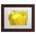 thumbnail image 3 of Trademark Fine Art "Yellow Tulip" Canvas Art by Kurt Shaffer White Matte, Black Frame, 3 of 4