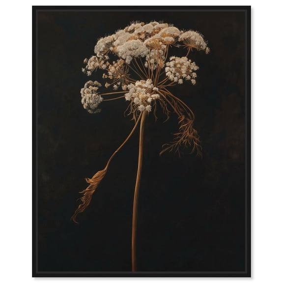 Fading Halo of the Field Canvas Gothic Botanicals by Art Remedy, Black Frame, 16" x 20"