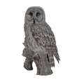 thumbnail image 4 of Hi-Line Gift Ltd Owl on Stump Statue, Grey, 4 of 4