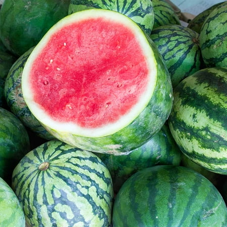 Watermelon Garden Seeds - Tasty Seedless Hybrid - 25 Seeds - Non-GMO Vegetable Gardening Water Melon Fruit (Best Seedless Watermelon Seeds)