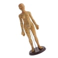 thumbnail image 4 of MagiDeal Acupuntura Humana y Moxibustión Modelo Femenino 48 cm 50 cm, 4 of 8