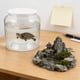 thumbnail image 3 of Houderco Terrario Portátil Para Reptiles Con De Plástico Transparente Y, 3 of 7