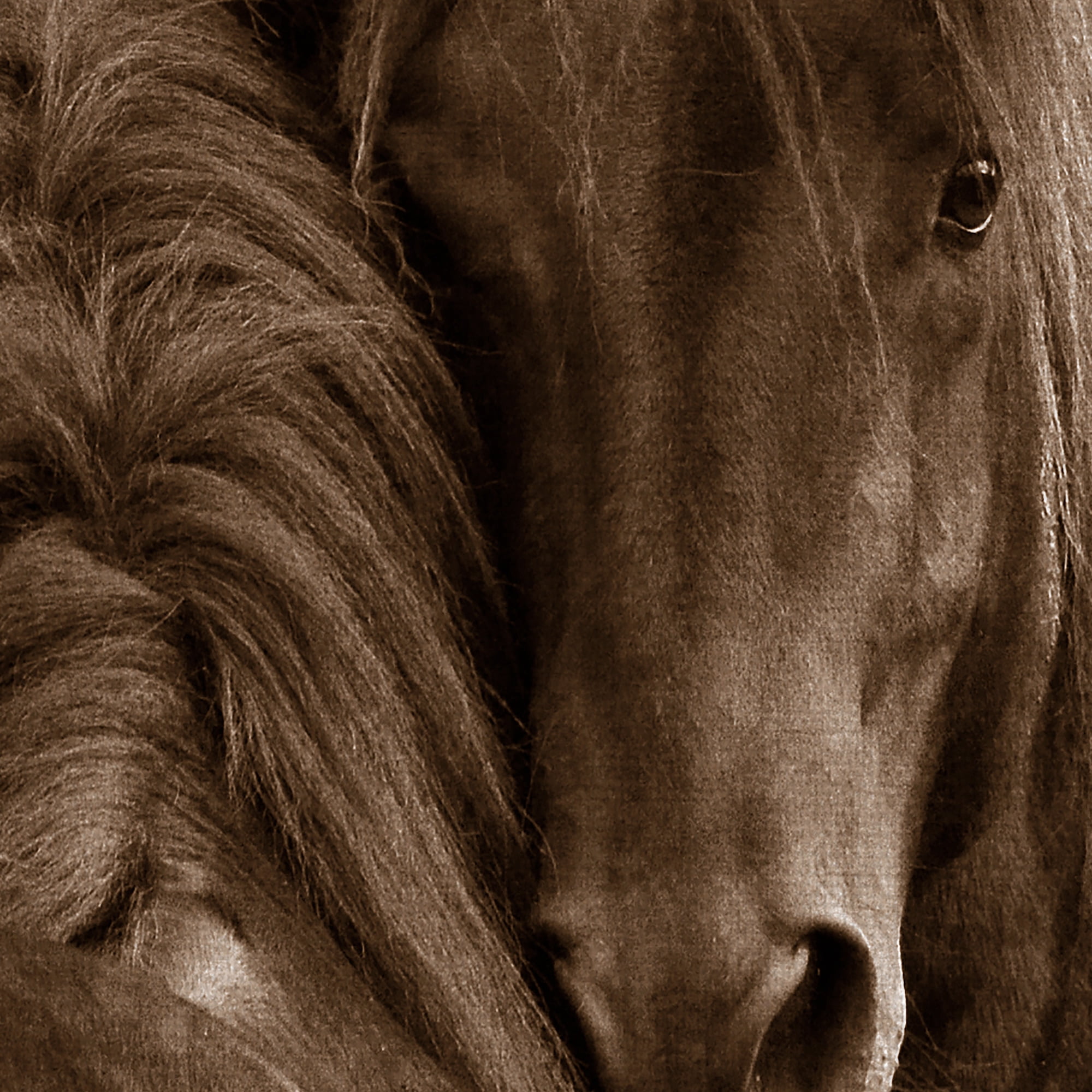 Masterpiece Art Gallery Horse Loving Tenderness by Tony Stromberg Canvas Photo Art Print 30" x 40"