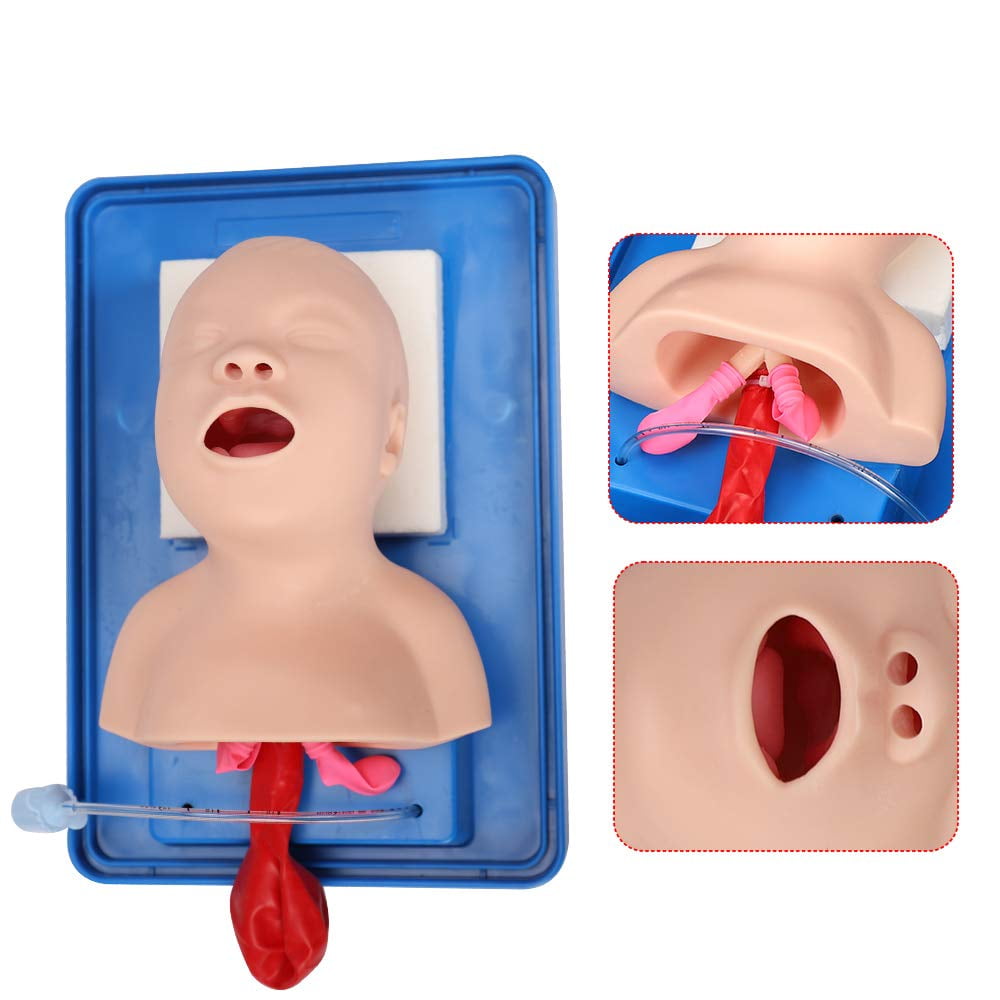 FETCOI Intubation Manikin Study Teaching Model, 220V Oral Nasal Intubation Airway Management Trainer PVC Demo (Newborn)