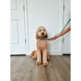 thumbnail image 2 of Midlee 4 Foot Dog Kennel Slip Lead Heavy Duty Nylon Pack of 10, 2 of 7