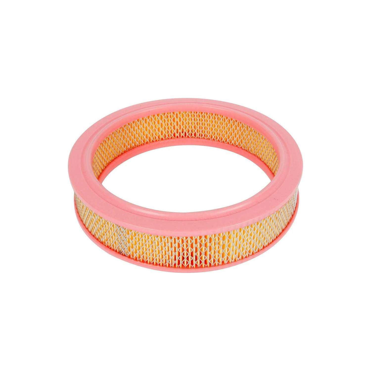 CARQUEST Premium Air Filter