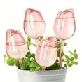 thumbnail image 4 of 1 Pcs Plant Watering Globes – Self Watering Bulbs for Indoor & Outdoor Plants, Automatic Drip Irrigation with Terracotta Spikes, Tulip Design for Vacation & Home Decor, 4 of 8