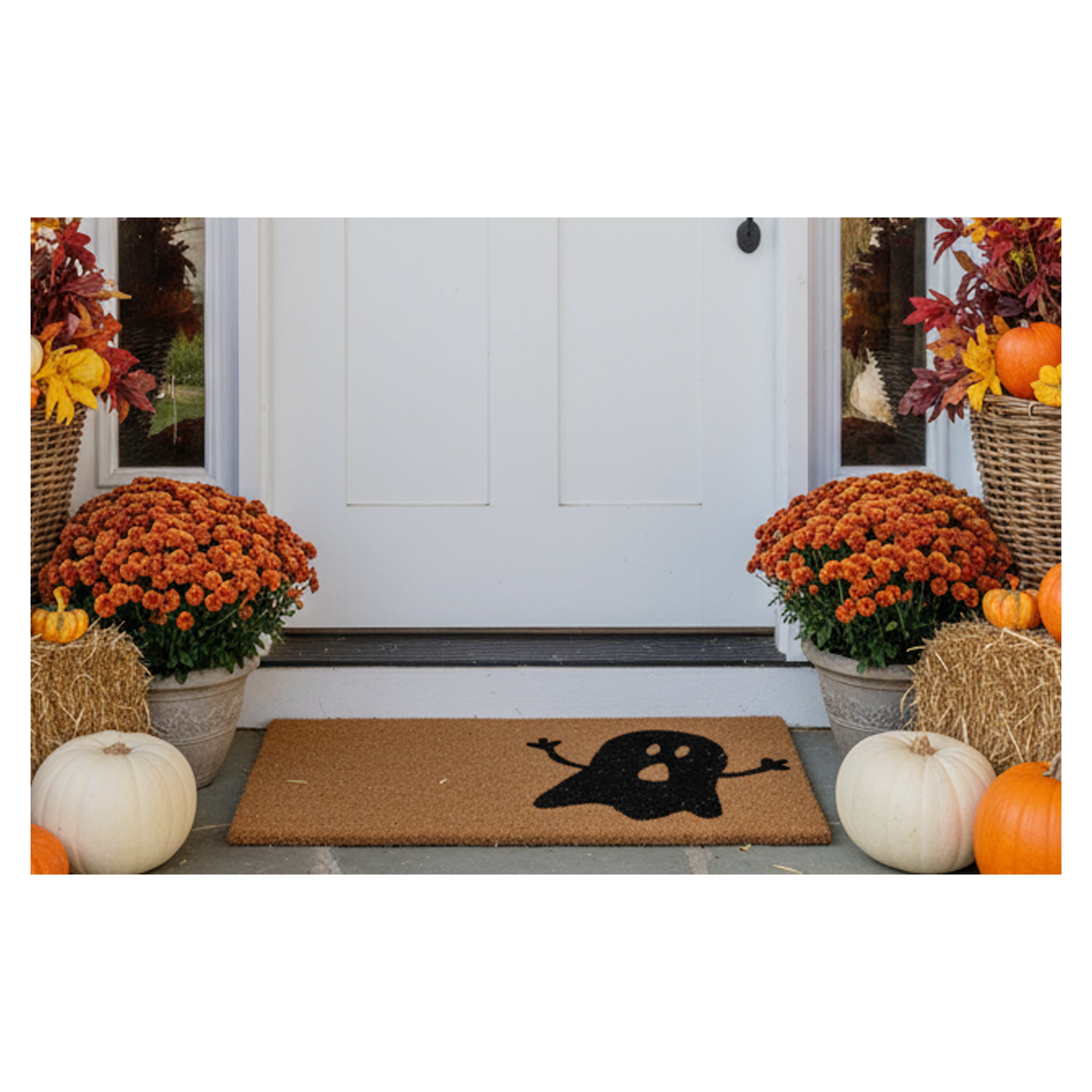 Calloway Mills Natural/Black Ghost Outdoor Doormat 17" x 29"