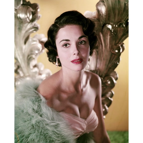 Dana Wynter Beautiful Rare Rare Glamour Pose 24X36 Classic Hollywood Poster