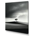 thumbnail image 2 of Designart "Tranquil Minimalism: Black And White Prairie Photography" Minimalism Canvas Prints, 2 of 7