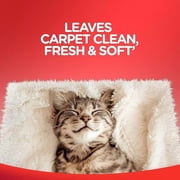 Resolve 2x Carpet Stain Cleaner Solution and Odor Remover Steam Machine Concentrate, 60 oz