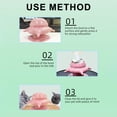 thumbnail image 4 of Puppy Feeder Bottle, Kitten Feeder, Puppy Milk Replacement Silicon Puppy Bottles, For Nursing with 4 Nipples, Puppy Feeders for Multiple Puppies Kitten, Mimics Breastfeeding, Safe Food Grade Materials, 4 of 8