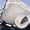 Beige, variant on Hex Autoparts 72" x 60" 2 Yards Headliner Fabric Foam Backed Material Replace Sagging Upholstery Black Suede Roo Headliner for Automotive/Home DIY Repair Replacement 60inch Width