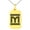 Gold, variant on Stainless Steel Letter M Initial Empire Monogram Engraved Small Rectangle Dog Tag Charm Pendant Necklace